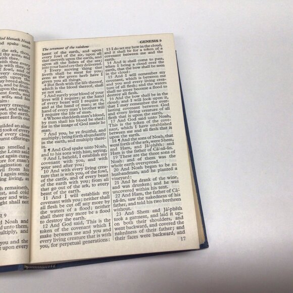 Holy Bible KJV King James Version Oxford Self Pronouncing Topaz Vintage 1950s - Picture 7 of 13